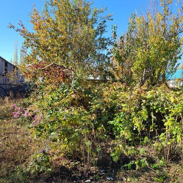 Продажа домов: Дом, 150 м², 5 комнат, Собственник, Евроремонт — 28