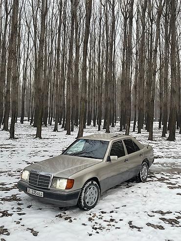 Mercedes-Benz: Mercedes-Benz W124: 1991 г., 2.3 л, Автомат, Газ, Седан — 1