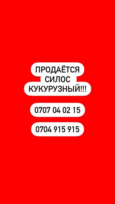 седло спортивные: По всем вопросам обращаться по номеру