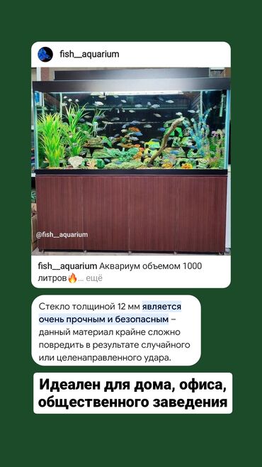 рыбка аквариум: Аквариум объемом 1000 литров Полный комплект, в него входит