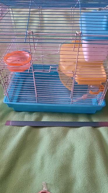 поилка для хомяков: Клетка для хомячков.🐹🐹🐹 Клетка двухэтажнаяесть поилка, домик.🛖🐹🐹 — 2