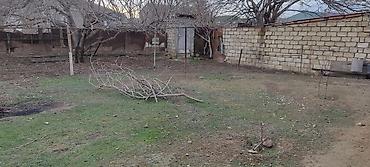 binədə torpağ: 3 sot Tikinti, Qaz, İşıq, Su — 10