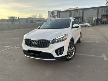 шторки: Kia Sorento: 2 л | 2017 г. | Кроссовер | Идеальное
