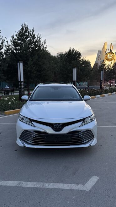 опель вектора с: Toyota Camry: 2019 г., 2.5 л, Автомат, Гибрид, Седан
