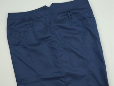 spódniczki obcisłe: Women`s skirt, size 6XL (EU 52)