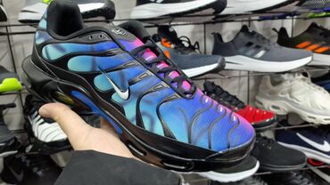 Patike: Patike — 6