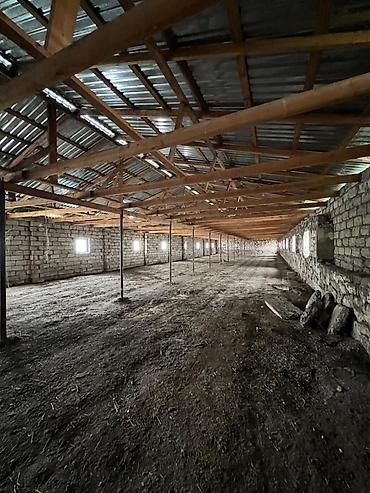 Kommersiya daşınmaz əmlakının satışı: 🔹 Satılır: Ferma – Xudat, Ləcət kəndi 🔹 ✅ Unikal fürsət! Xudat-Yalama — 6