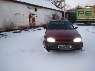 трикотажные поло: Volkswagen Golf: 1993 г., 1.6 л, Механика, Бензин, Хэтчбэк