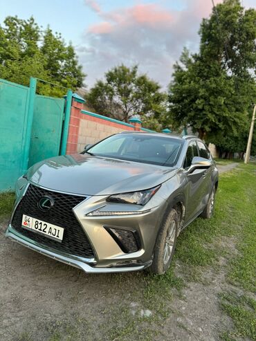 Lexus: Lexus NX: 2017 г., 2 л, Автомат, Бензин, Кроссовер