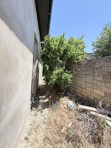 Daşınmaz əmlak: 3 otaqlı, 110 kv. m, Kredit yoxdur, Təmirsiz — 4