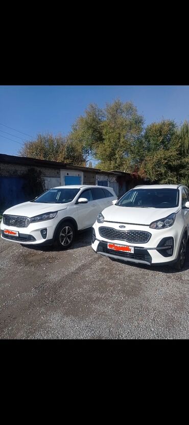 кия авто: Kia Sorento: 2019 г., 2 л, Автомат, Дизель, Внедорожник