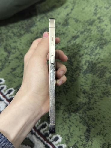 Apple iPhone: IPhone 13 Pro Max, Серебристый — 10