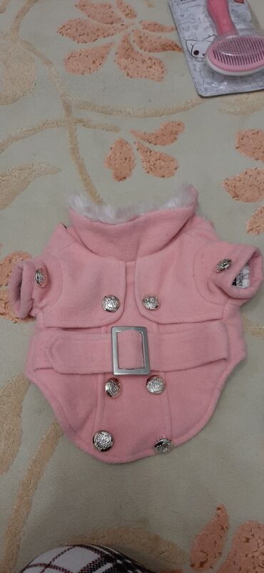 Geyimlər: Красивыекачественные почти новые вещи на маленьких собачек. Все в — 4