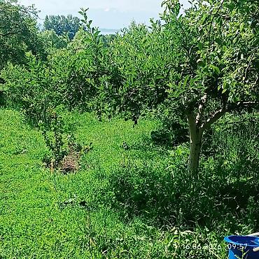 Продажа коттеджей и домов: Предлагается к продаже дом с прилегающим земельным участком. Дом — 3