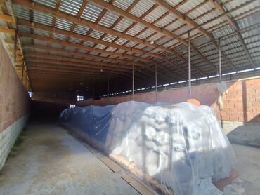 Kirayə torpaq sahələri: 8 sot Kənd təsərrüfatı — 12