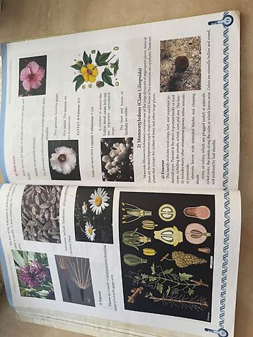 Книги и журналы: Məhsul: Biology I – 7-8 Seriya: Biology Series Nəşr: hazırlanmış dərs — 6