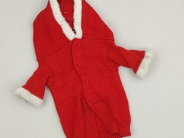 sweter h: Czerwony sweter dla zwierząt, idealny na okres świąteczny. Wykonany z