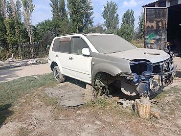 мото зонтик: Nissan X-Trail: 2004 г., 2 л, Автомат, Бензин, Кроссовер — 1