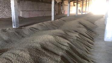 Другие виды семян и саженцев: Коп жылдык эспарцет уругу. Уроончулук чарба "Победитель" Ысыккол обл — 10