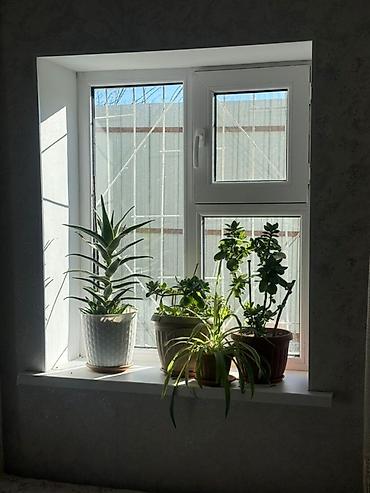 Продажа коттеджей и домов: ‼️ Срочно продаётся дом 🏡 📍 Бишкек, по пути к Кун-Туу (дача МВД, 1-я — 5