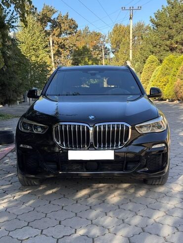 прокачка аммортизаторов: BMW X5: 2019 г., 3 л, Автомат, Бензин, Кроссовер
