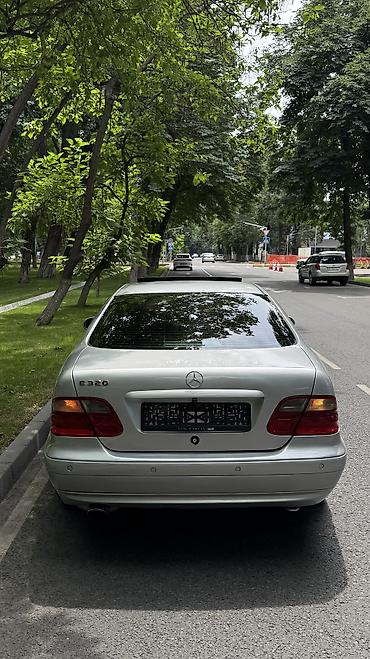 мерс clk: Mercedes-Benz CLK-Class: 1998 г., 3.2 л, Автомат, Бензин, Купе — 5