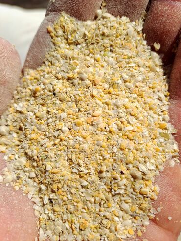 пшеница казахстанская: Горох кормовой. Мучка. Отруби гороховые. Привозной, не местный