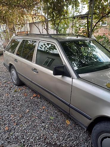 silverstone f1: Mercedes-Benz W124: 1988 г., 2.3 л, Механика, Бензин, Универсал — 4
