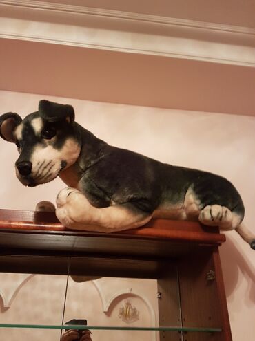 Oyuncaqlar: Oyuncaq it. Çin istehsalı. Uzunluğu 70 - 75 sm. Qiyməti 50 - manat -da lalafo.az — 4 Oyuncaqlar: Oyuncaq it. Çin istehsalı. Uzunluğu 70 - 75 sm. Qiyməti 50 - manat — 4