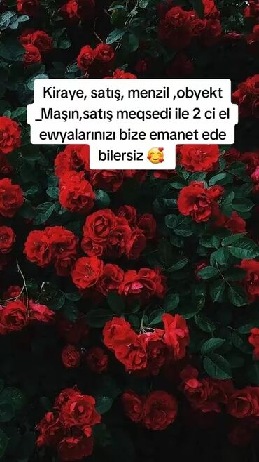 ci modul: Satdıqınız her hansı mehsul varsa reklam edirik Emlak olsun Maşın ve