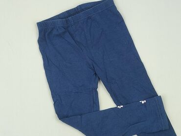 5 10 15 kurtki dla dziewczynek: Leggings for kids, 5-6 years, 110/116, condition - Very good