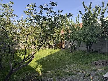 Продажа коттеджей и домов: 🔥 СРОЧНО ПРОДАЁТСЯ 2-ЭТАЖНЫЙ ДОМ В РУХИЙ МУРАС 🔥 💰 Цена: 350 000$ 🏡 — 2