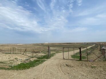 Kommersiya daşınmaz əmlakının satışı: FERMA satılır Pirəkəşkül qəsəbəsində — 12