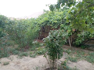 Yataq otağı dəstləri: İkinəfərlik çarpayı — 9