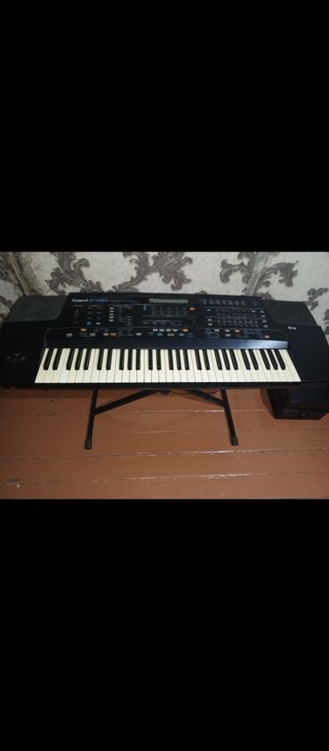 литература 5 класс методическое пособие: Sintezator, Roland