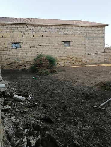 lan: Bağban, 44 yaş, 5 ildən artıq təcrübə — 7