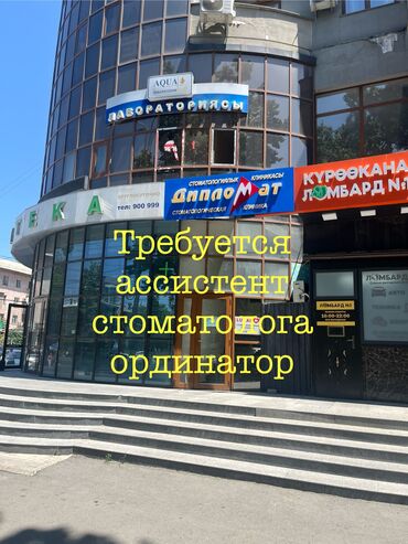 помошник по дому: Стоматолог. Белгиленген акы. Манас/Бөкөнбаев
