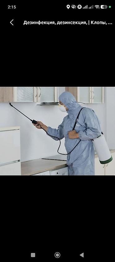 дезинфекция: Дезинфекция, дезинсекция, | Клопы, | Офисы — 4