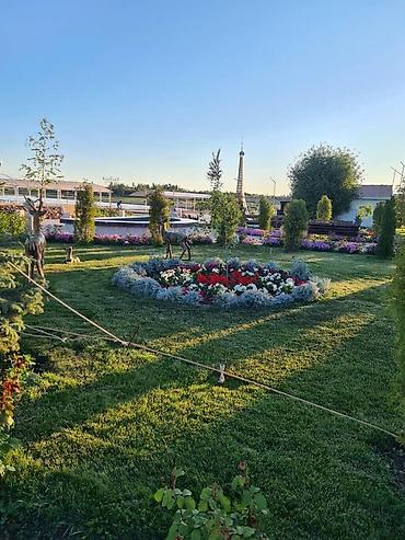 Долгосрочная аренда квартир: 2 комнаты, С мебелью полностью — 21