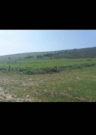 Torpaq sahələrinin satışı: 19 sot, Kənd təsərrüfatı, Mülkiyyətçi, Kupça (Çıxarış) — 10