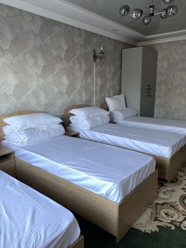 тактай ош: 🌿 Bozui Hostel — Ош шаарында жаңы ачылды! 🌿 🎉 Ачылышка байланыштуу