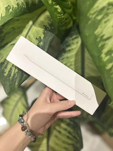 apple pencil 2: Apple Pencil Pro - Model: Apple Pencil Pro (qutunun üzərində qeyd — 1