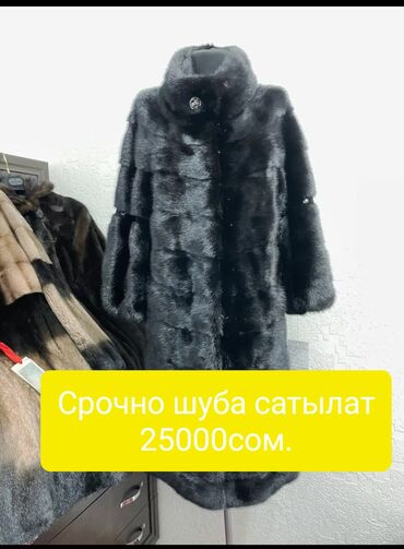 ипотечные дома: Афиша мероприятия — программа на 12 сентября - 09:30–10:00 — Встреча