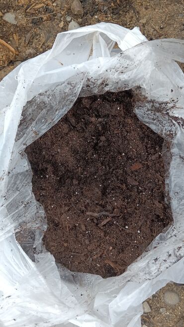 Torf: Torf gubresinn satişi torf balaken 2.50 300den cox alana catrlma -da lalafo.az — 14 Torf: Torf gubresinn satişi torf balaken 2.50 300den cox alana catrlma — 14