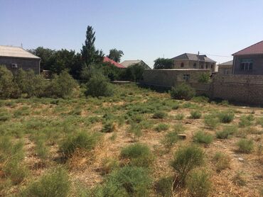 Torpaq sahələrinin satışı: 45 sot, Tikinti, Makler, Kupça (Çıxarış) — 3