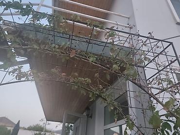 Metal fermalar: Arka bağ üçün Metall bağ arkası və sarmaşıq üçün konstruksiyalar - — 3