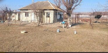 Bağ evlərinin satışı: Mingəçevir, 40 kv. m, 4 otaqlı, İnternet, İşıq, Qaz — 8