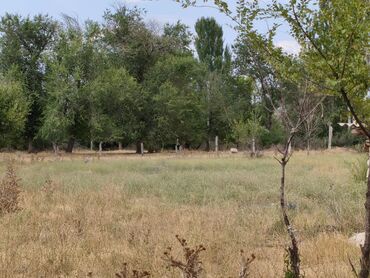 Продажа домов: Дом, 110 м², 4 комнаты, Собственник, Косметический ремонт — 8