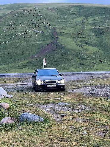 Mercedes-Benz: Mercedes-Benz E-Class: 2000 г., 3.2 л, Автомат, Дизель, Седан — 2