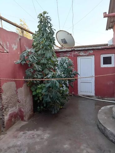 Uzunmüddətli kirayə mənzillər: 300Azn addelni heyet evi Sabuncu APlus Redoilzapravkasinin yaxin — 5